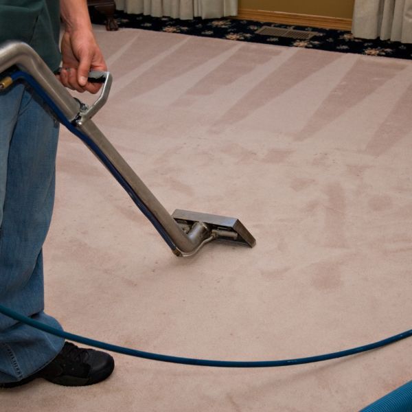 Carpet Cleaning in Oldsmar FL